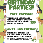 Birthday Partys